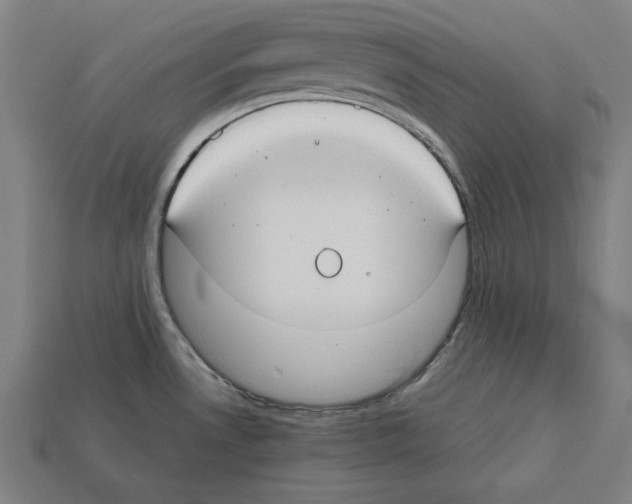 X0000112401530200909251425