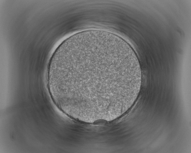X0000112401531200909251425