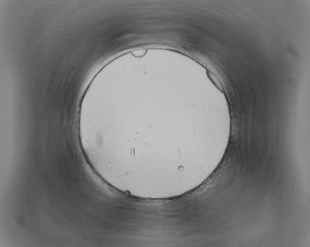 X0000112401532200909251425