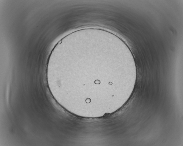 X0000112401534200909251425