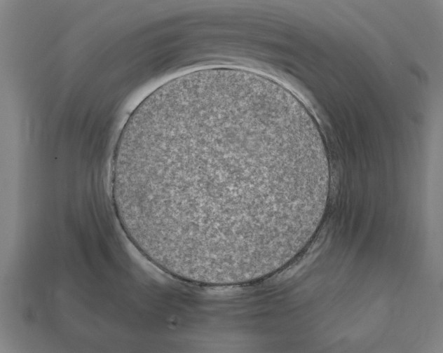 X0000112401535200909251425
