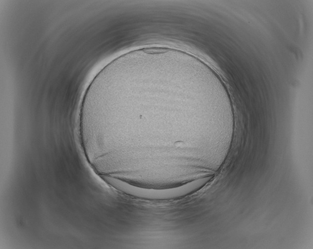 X0000112401536200909251425