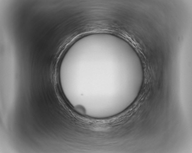 X0000112410002200908141035