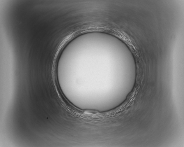 X0000112410003200908141035