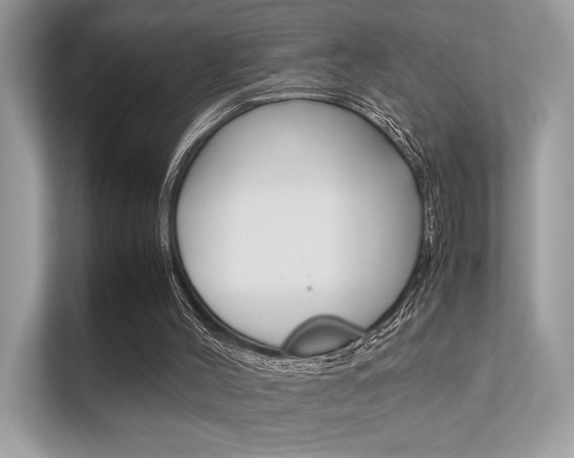 X0000112410004200908141035