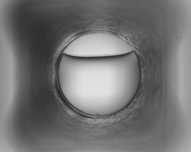 X0000112410005200908141035