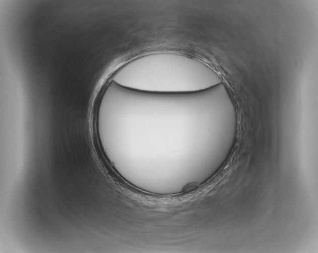 X0000112410006200908141035