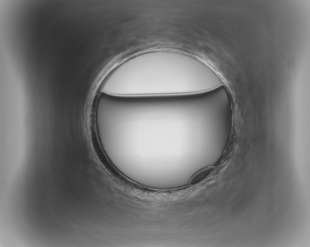 X0000112410007200908141035