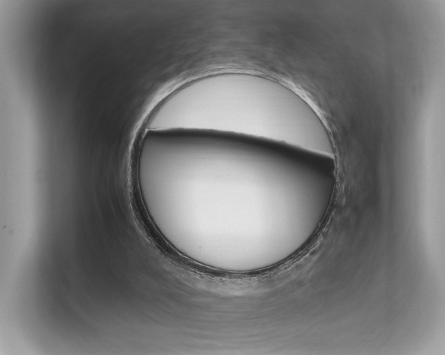 X0000112410008200908141035