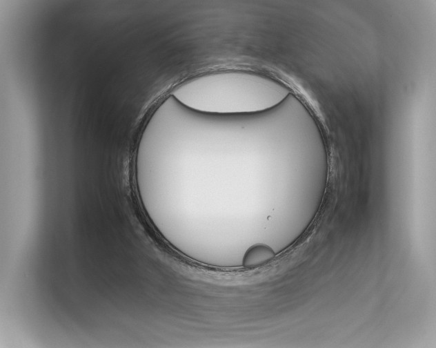 X0000112410010200908141035