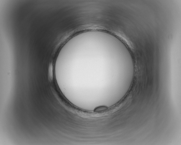 X0000112410014200908141034