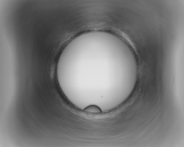 X0000112410018200908141034