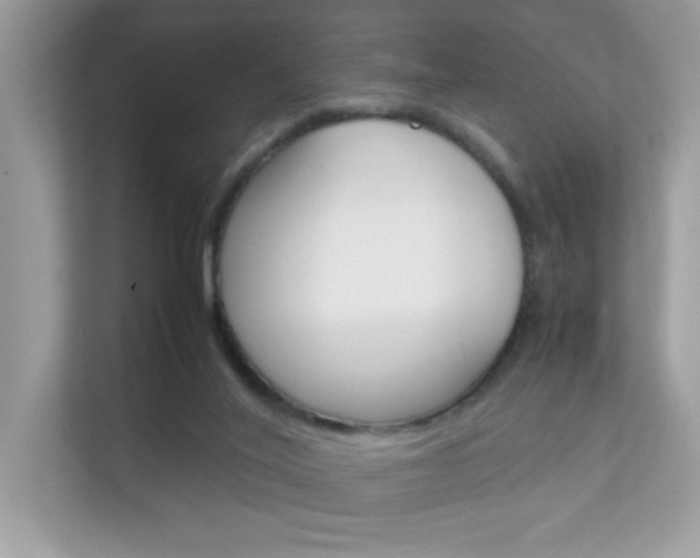 X0000112410020200908141034