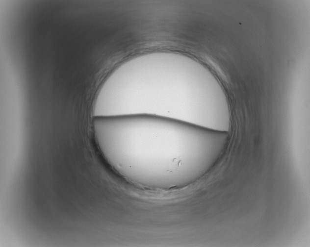X0000112410023200908141034