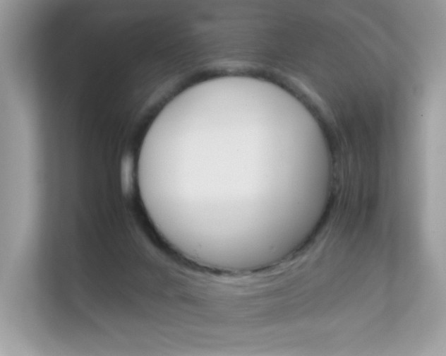 X0000112410024200908141034