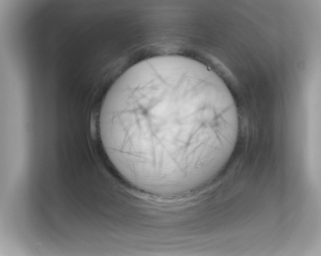 X0000112410026200908141034