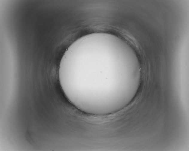 X0000112410029200908141034