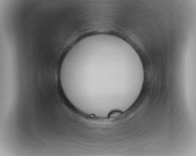 X0000112410032200908141034