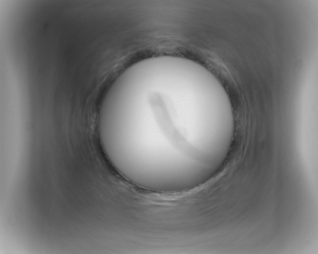 X0000112410033200908141034