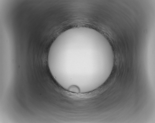 X0000112410034200908141034