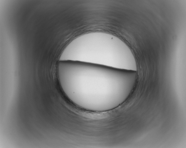 X0000112410036200908141034