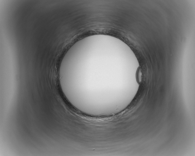 X0000112410040200908141034