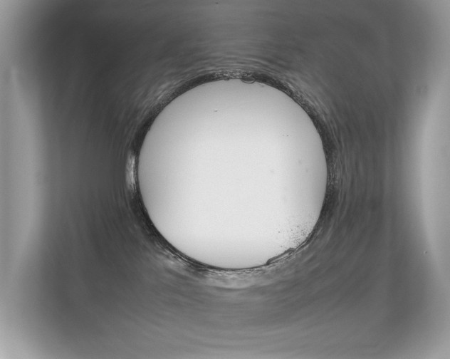 X0000112410041200908141034