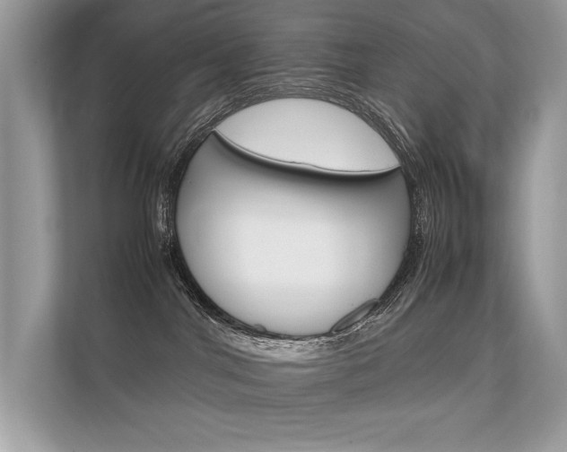 X0000112410044200908141034