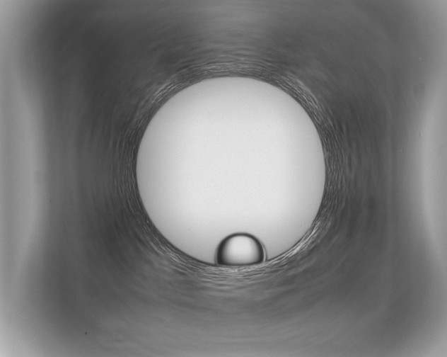X0000112410045200908141034