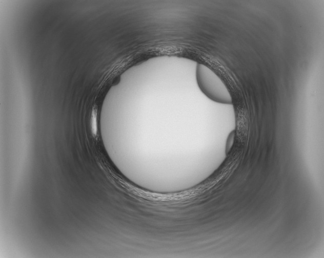 X0000112410046200908141034