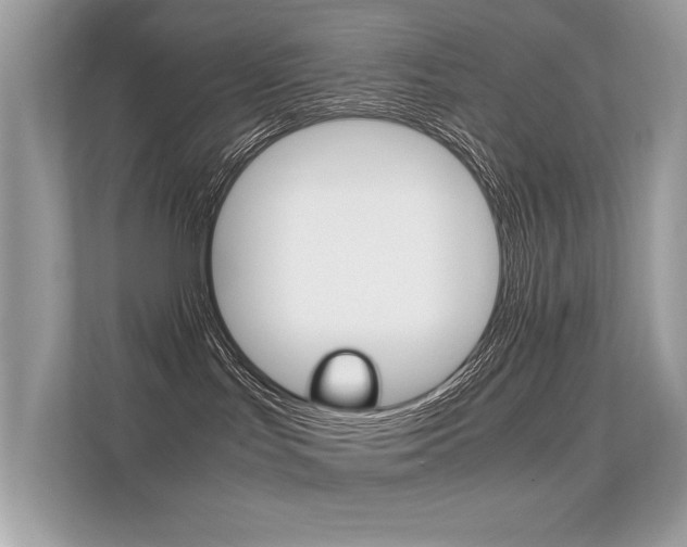 X0000112410047200908141034