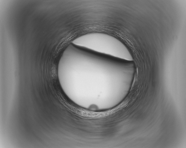 X0000112410048200908141034