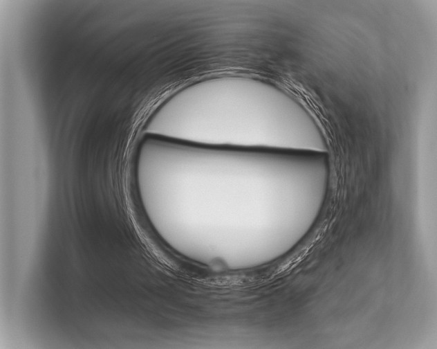 X0000112410049200908141033