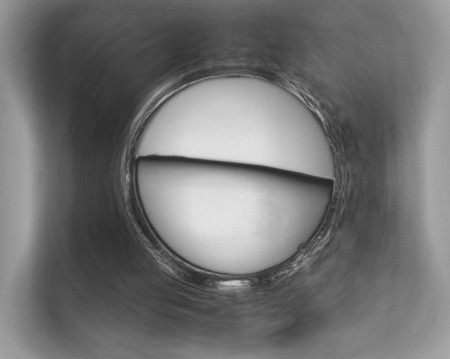 X0000112410053200908141033