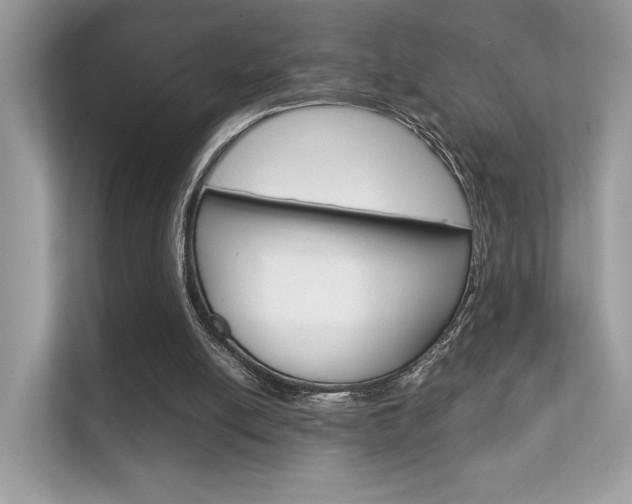 X0000112410054200908141033