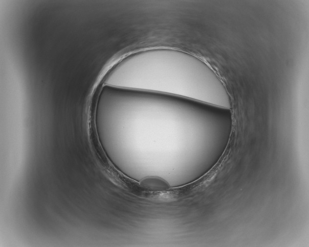 X0000112410056200908141034