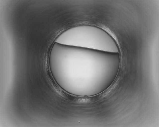 X0000112410057200908141034