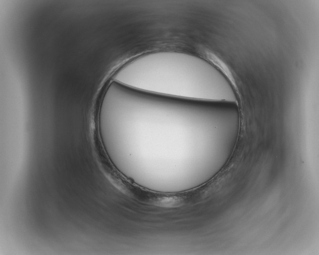 X0000112410059200908141034