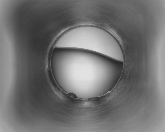 X0000112410060200908141034