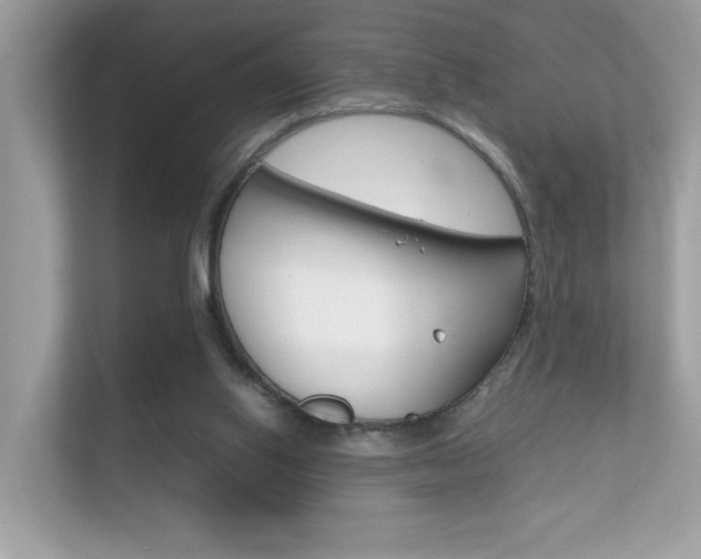 X0000112410062200908141034