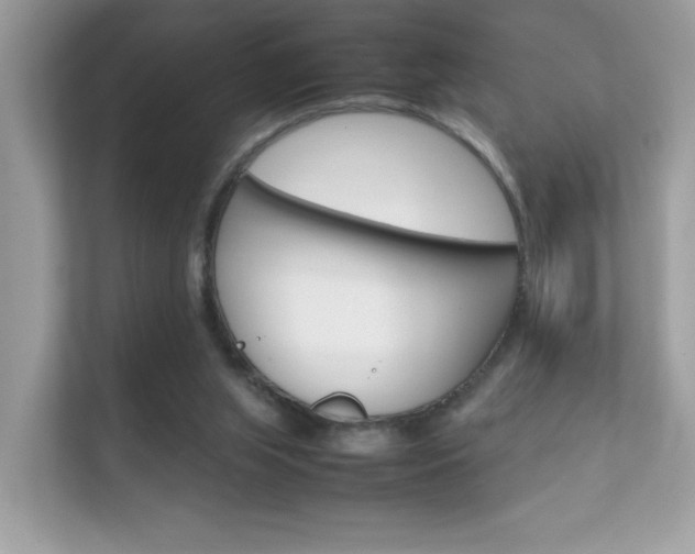 X0000112410063200908141034