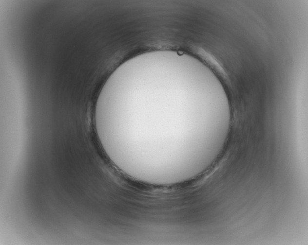 X0000112410065200908141034