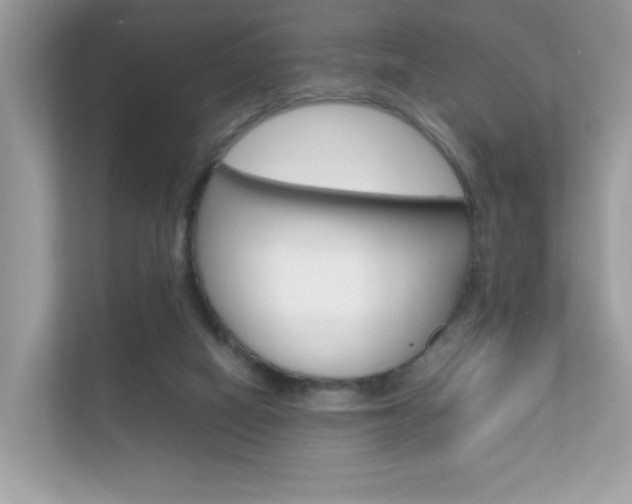 X0000112410066200908141034