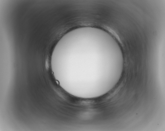 X0000112410069200908141034