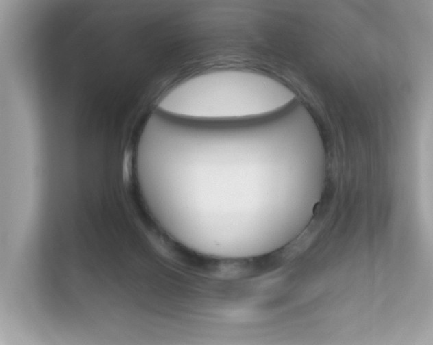 X0000112410070200908141034