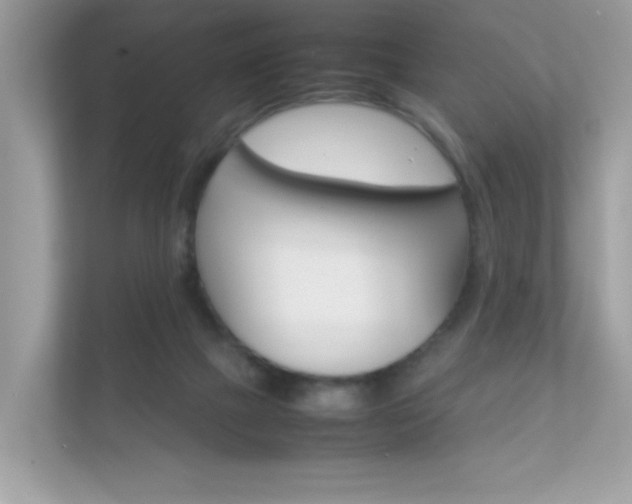 X0000112410073200908141034