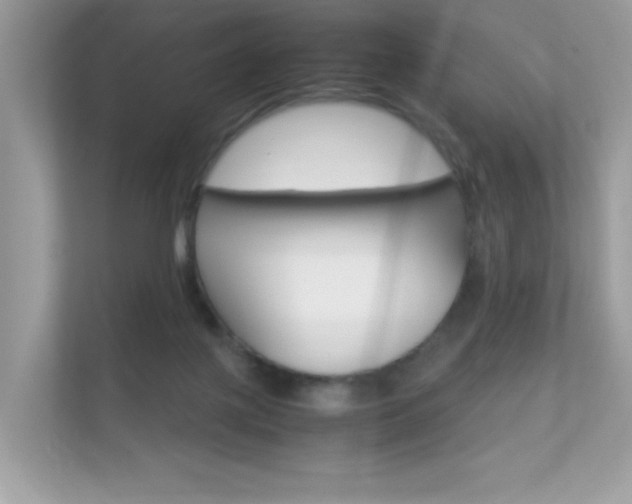 X0000112410075200908141034