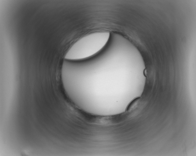 X0000112410078200908141034