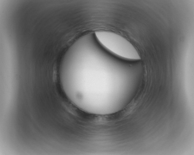 X0000112410080200908141034