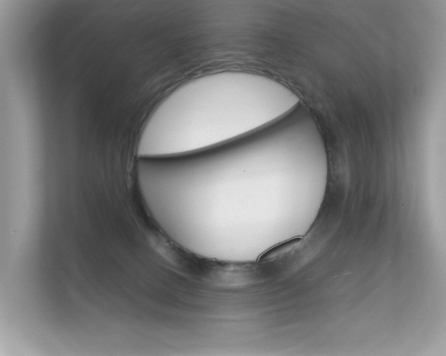 X0000112410082200908141034
